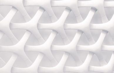 white and gray optical illusion